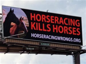 Billboard on major highway leading to the Saratoga Race Course. Reads - Horseracing Kills Horses
