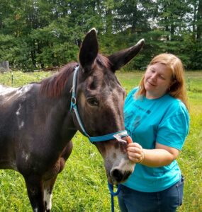 Colleen Segarra of Equine Rescue Resource with Randy
