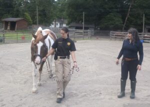 Officer learning how to safely lead a horse